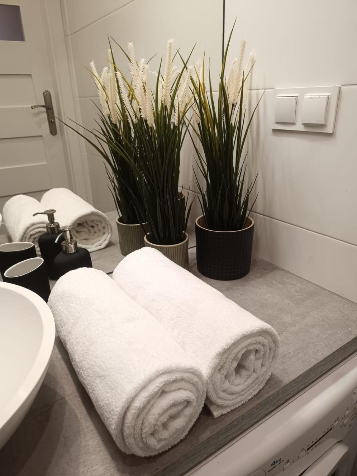 波兹南Apartament Jawornicka 7 / Grunwald公寓 外观 照片